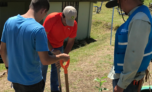 ¡Amigos SOS y voluntarios se apuntaron a reforestar!